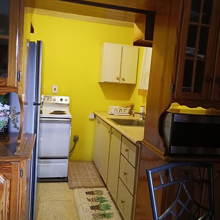 شقة Chelsea Manor كينغستون المظهر الخارجي الصورة